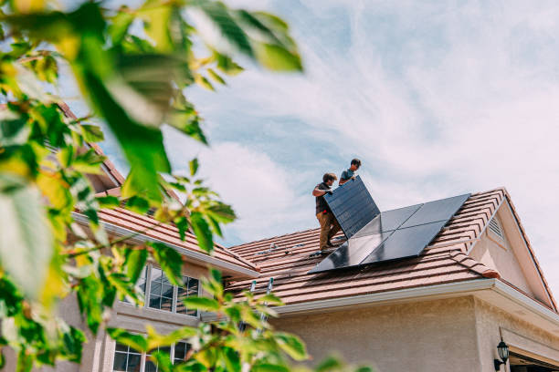 Best Sheet Metal Roofing  in Woodstock, VA